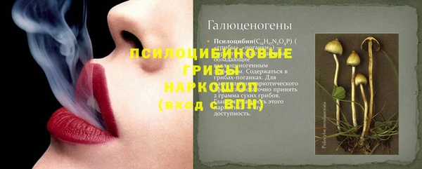 PSILOCYBIN Нязепетровск