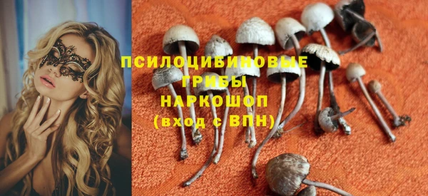 шишки Нягань
