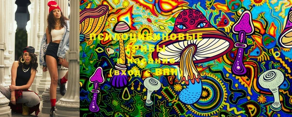 эйфоретик Осинники