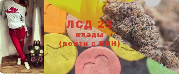 эйфоретик Осинники