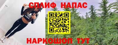 гидра Кимры