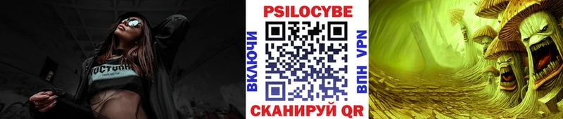 Псилоцибиновые грибы Psilocybe Нарьян-Мар