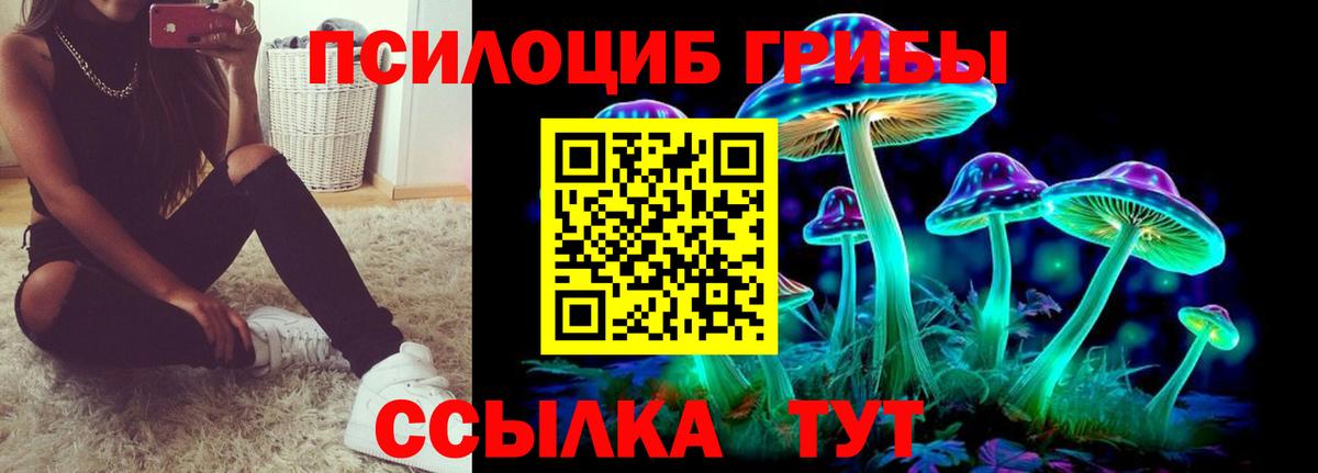 Псилоцибиновые грибы мухоморы Нарьян-Мар